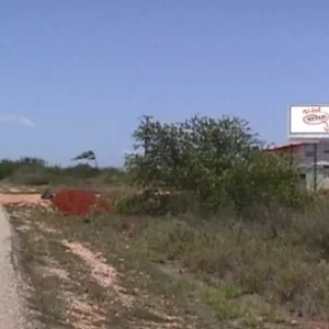Autopista Juan Bautista - NE-S00001